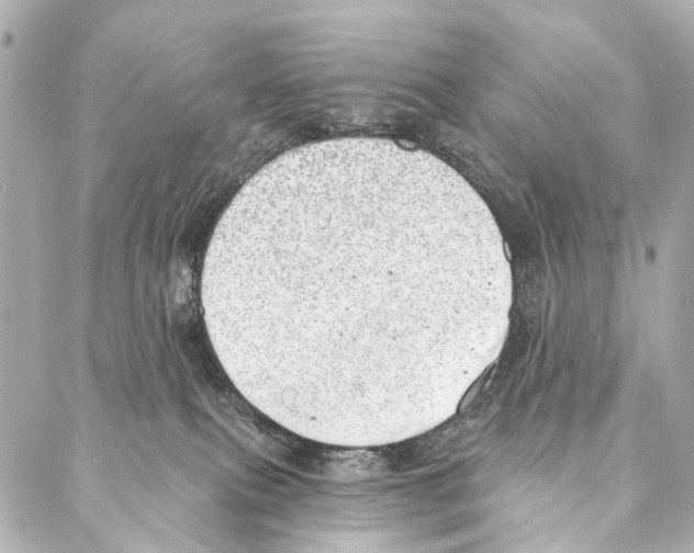 X0000086980087200705141726