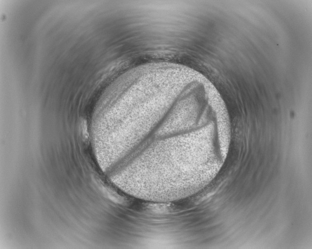 X0000086980089200705141726