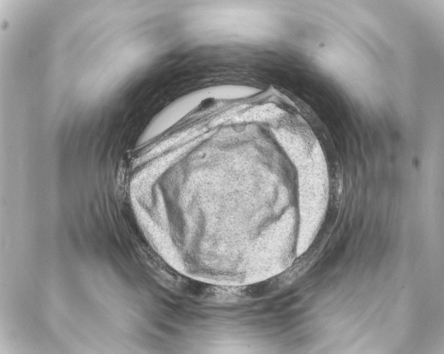 X0000086980093200705141727