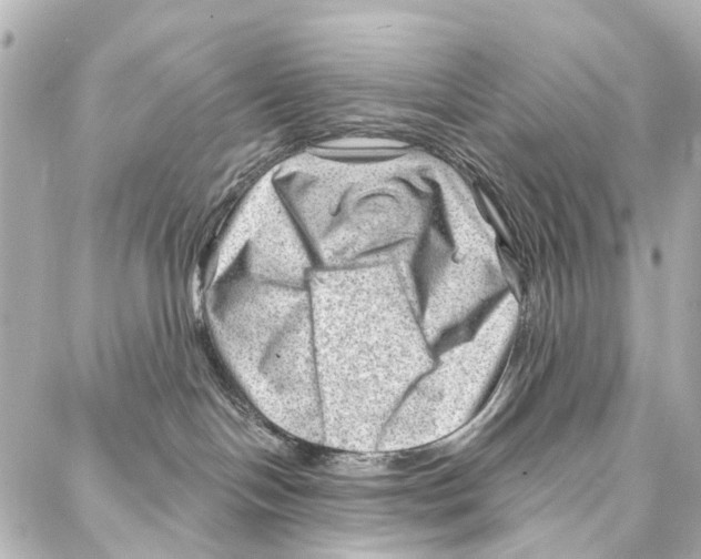 X0000086980094200705141727