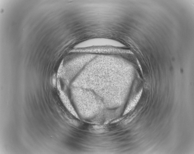 X0000086980095200705141727