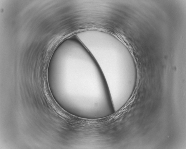 X0000086980097200705141726