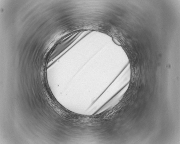 X0000086980098200705141726