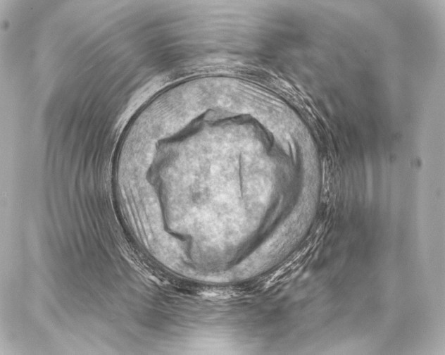 X0000086980099200705141726