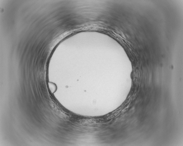 X0000086980100200705141726