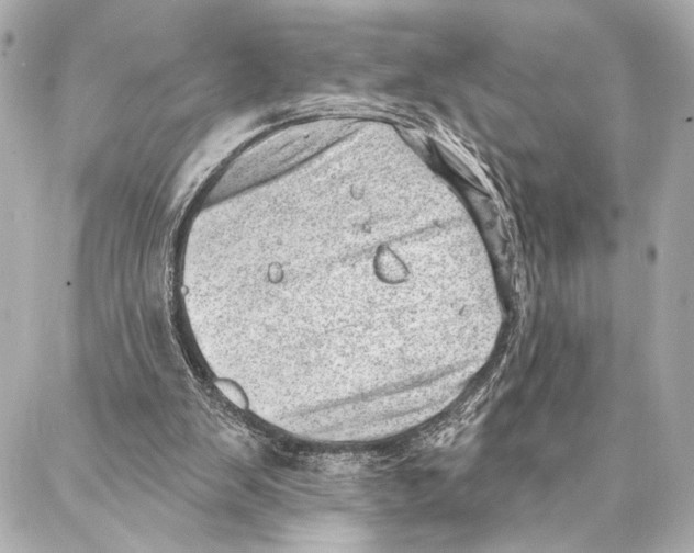 X0000086980103200705141726