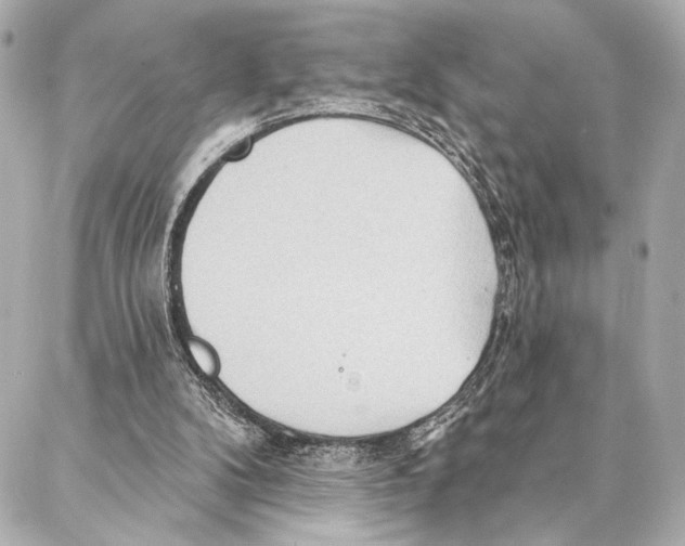 X0000086980104200705141726