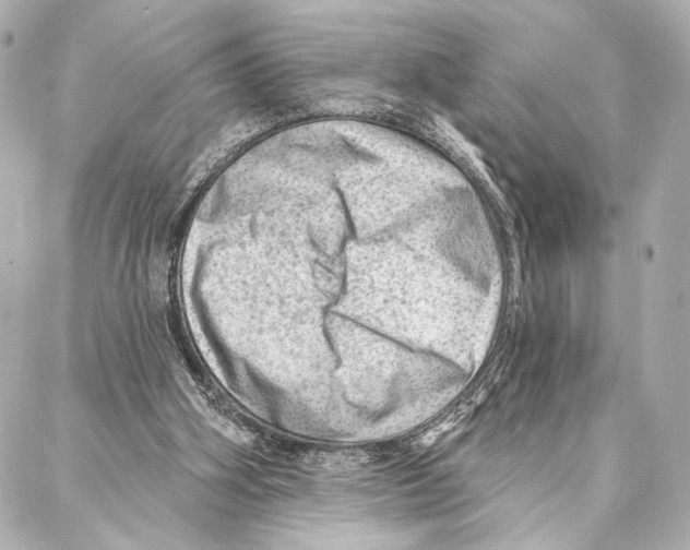 X0000086980106200705141726