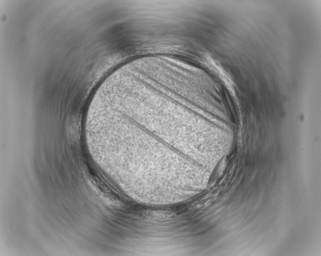 X0000086980107200705141726