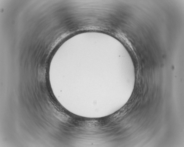 X0000086980108200705141726