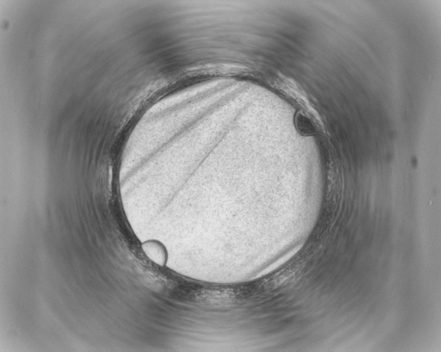 X0000086980110200705141726