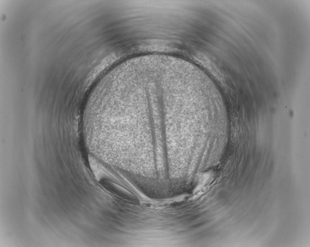 X0000086980111200705141726