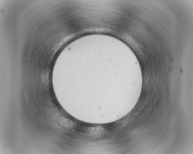 X0000086980112200705141726