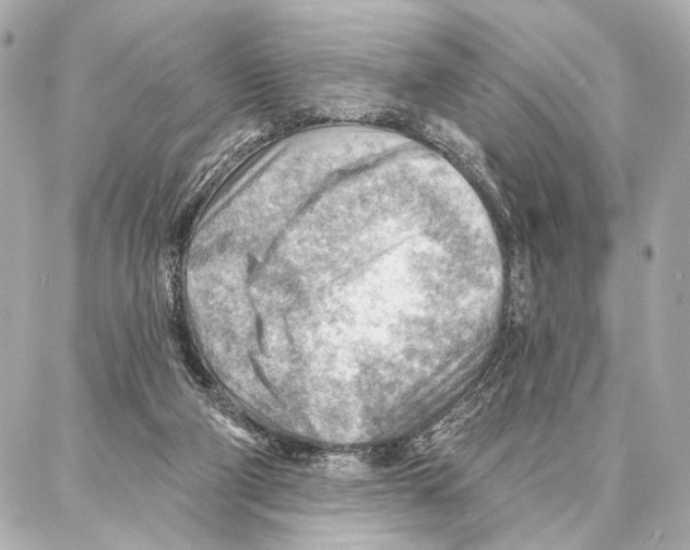 X0000086980114200705141726