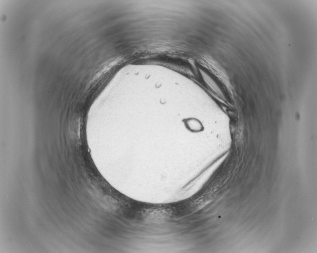 X0000086980115200705141726