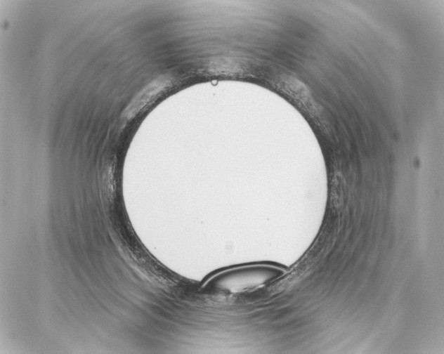 X0000086980116200705141725