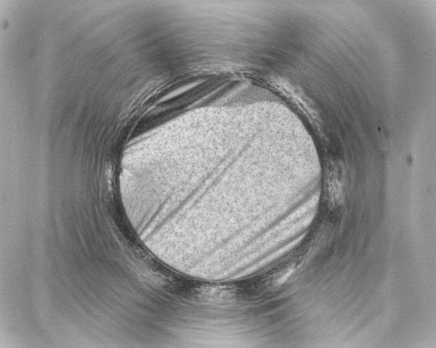 X0000086980117200705141725