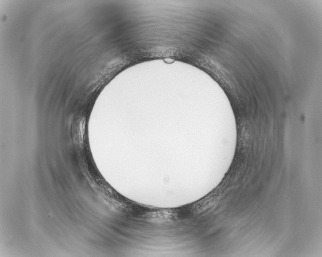 X0000086980118200705141725