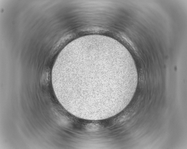 X0000086980119200705141725