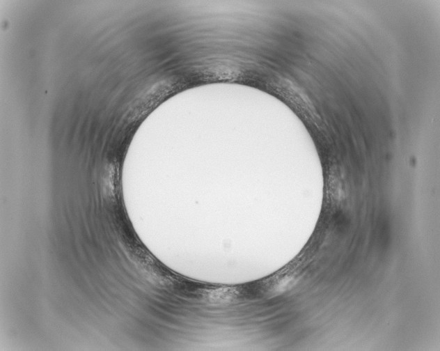 X0000086980122200705141725