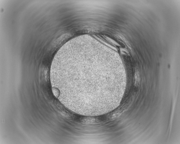 X0000086980123200705141725