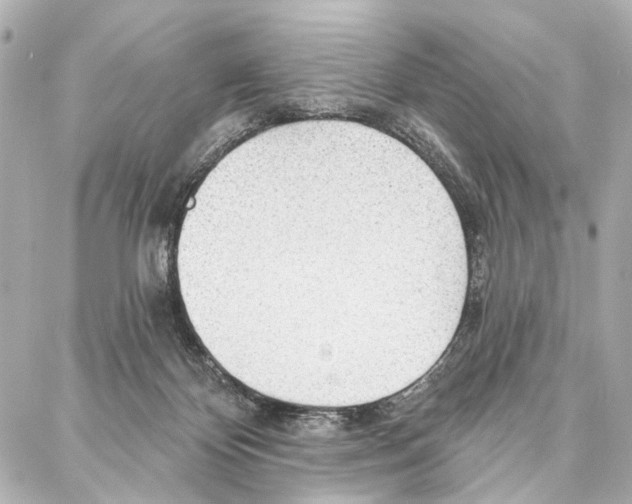 X0000086980124200705141725