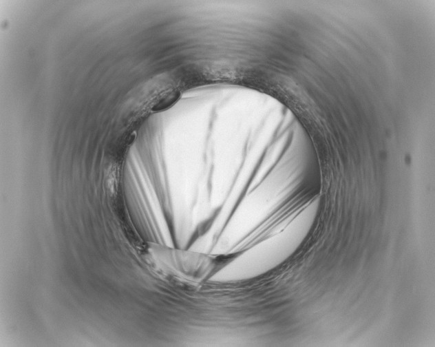 X0000086980125200705141725