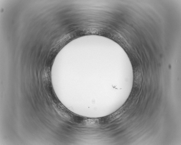 X0000086980126200705141725