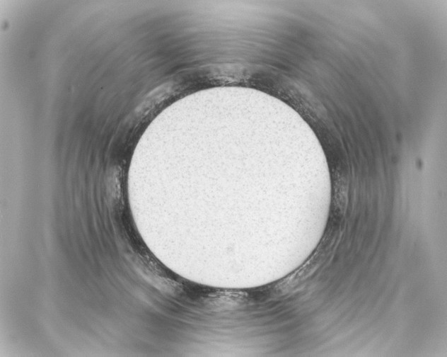 X0000086980128200705141725