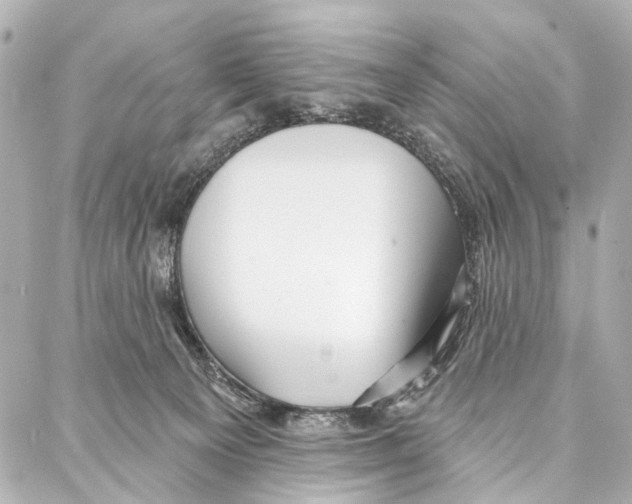 X0000086980129200705141725