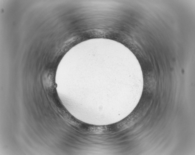 X0000086980131200705141725