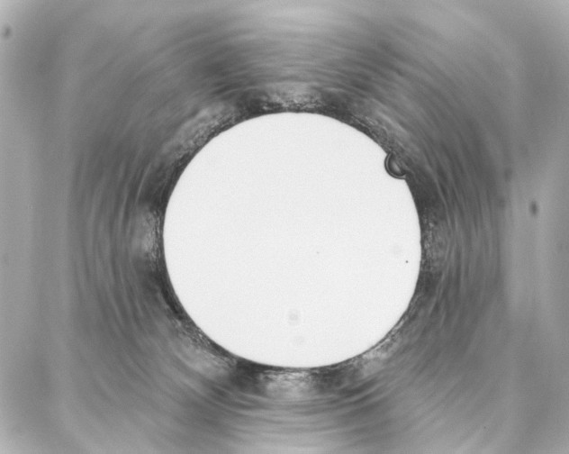 X0000086980132200705141725