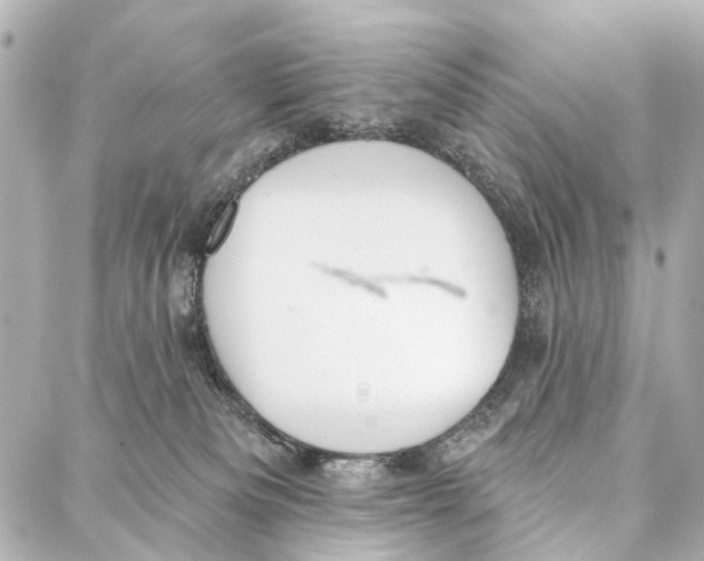 X0000086980133200705141725