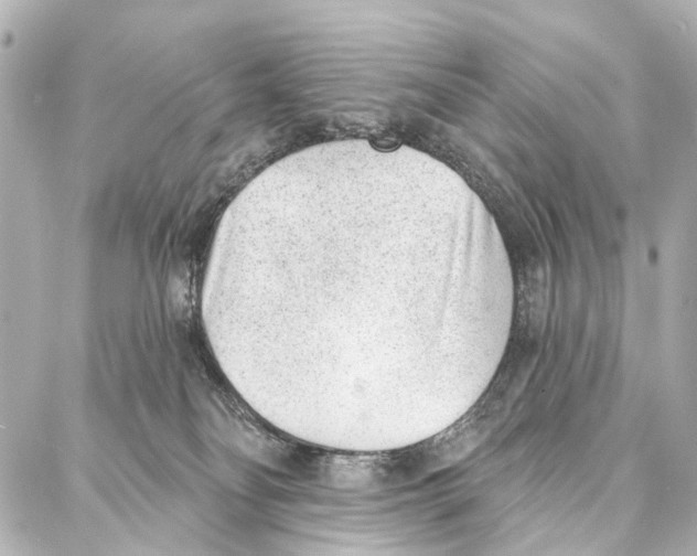 X0000086980134200705141725