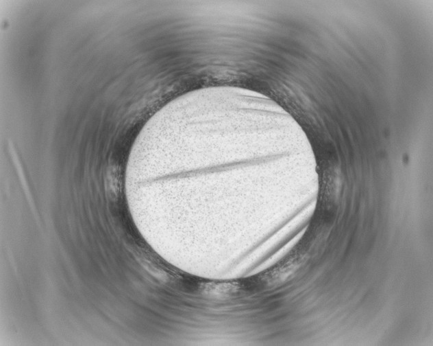 X0000086980135200705141725