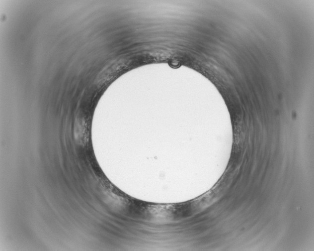 X0000086980136200705141725