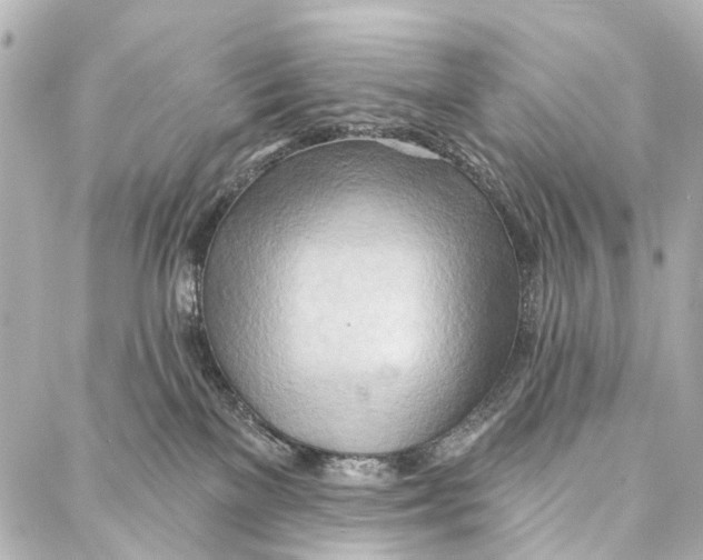 X0000086980137200705141725