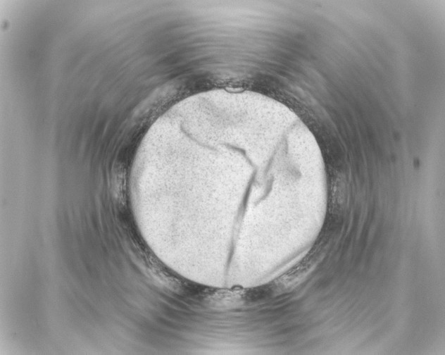 X0000086980138200705141725