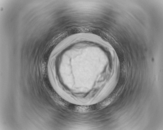 X0000086980139200705141725