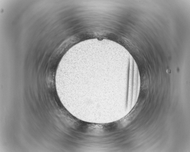 X0000086980140200705141725