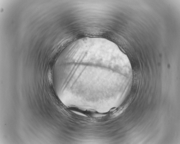 X0000086980143200705141725