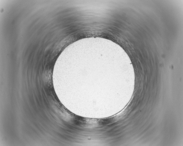 X0000086980144200705141725