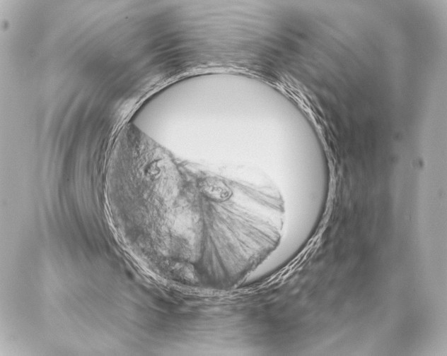 X0000086980145200705141724