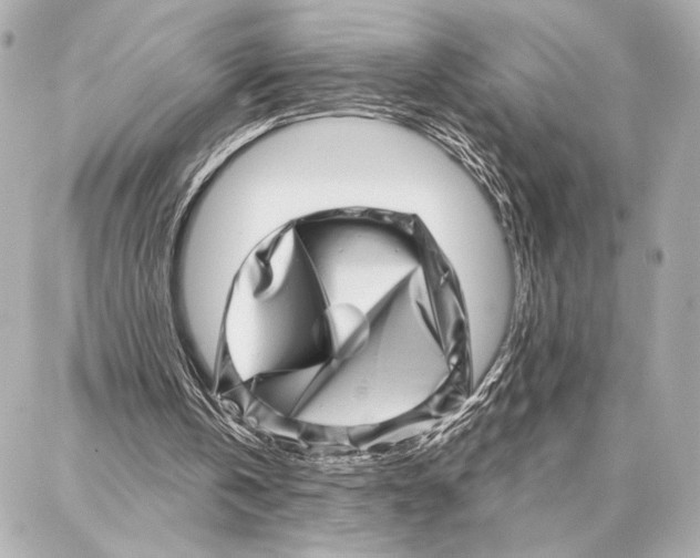 X0000086980146200705141724