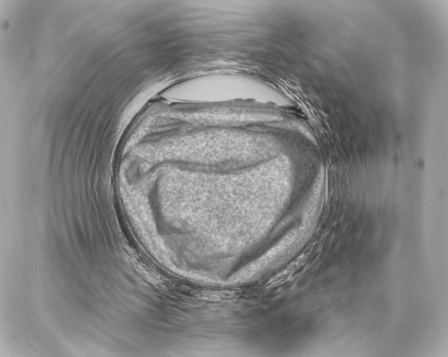 X0000086980147200705141724