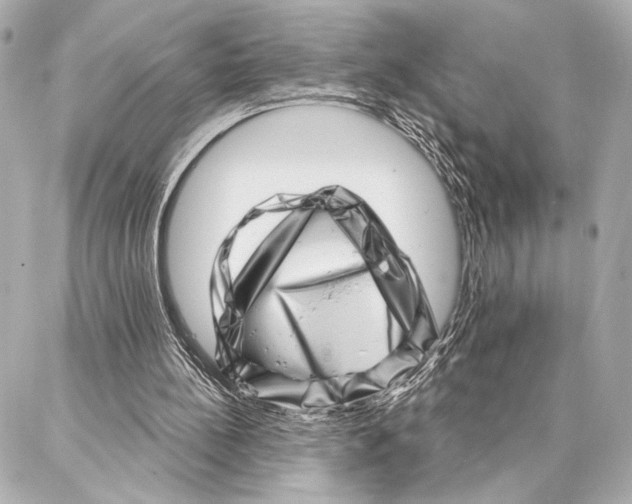 X0000086980148200705141724