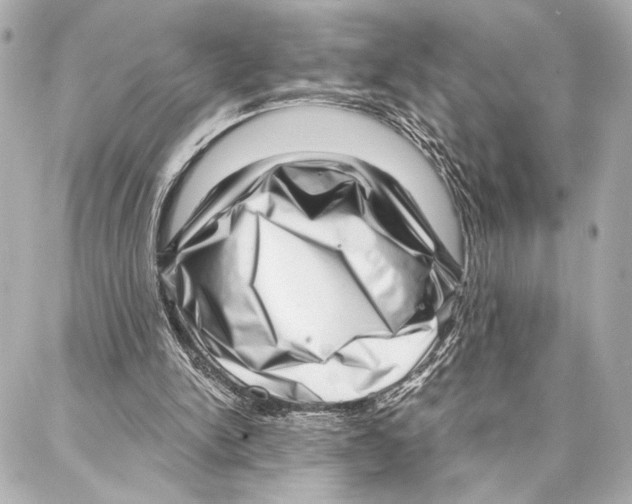 X0000086980150200705141724