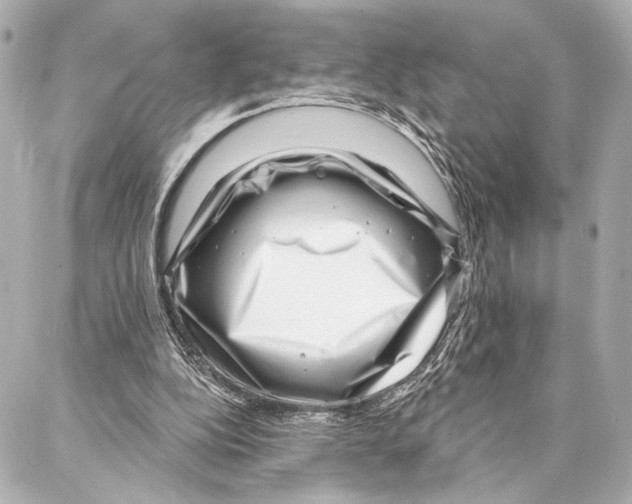 X0000086980152200705141724