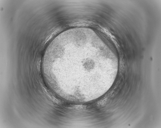 X0000086980153200705141724