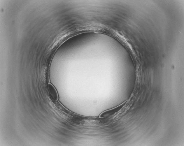 X0000086980154200705141724